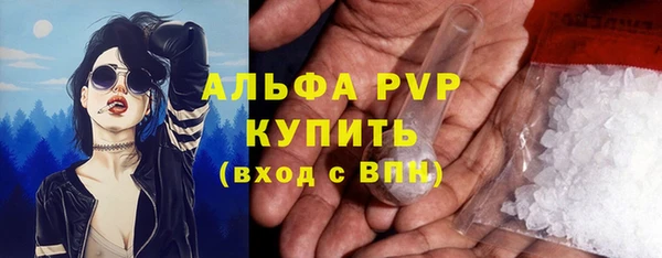 дмт Абаза