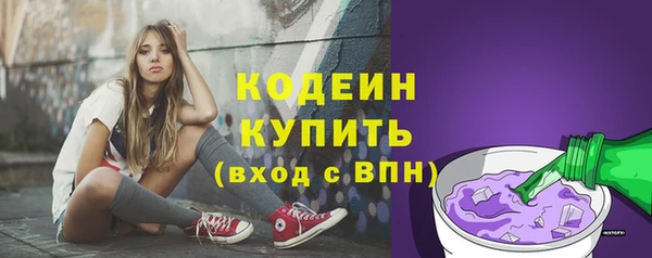 дмт Абаза