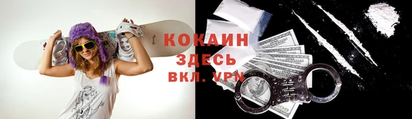 дмт Абаза