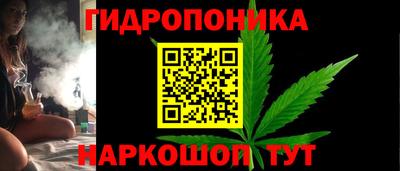 индика Кизляр