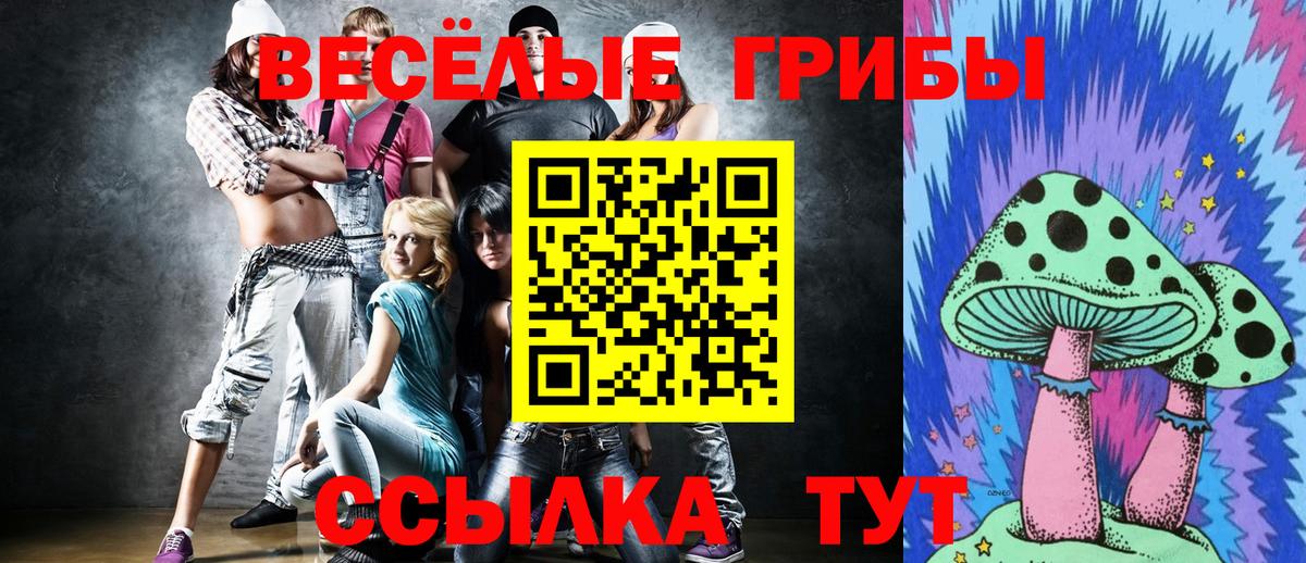 Псилоцибиновые грибы Psilocybine cubensis  Вход с VPN  Канск 