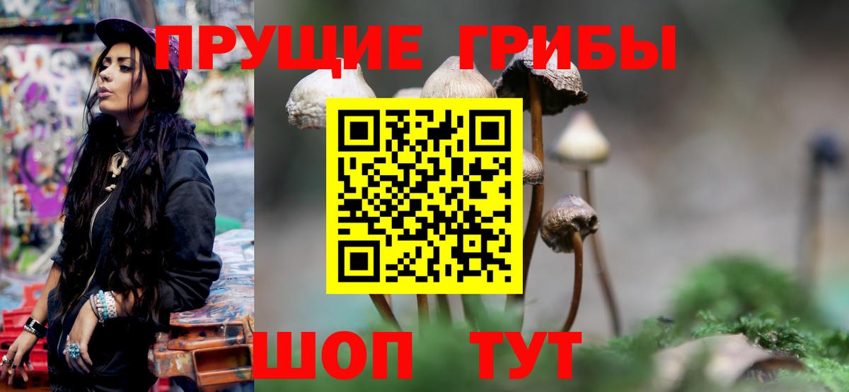 Галлюциногенные грибы ЛСД Канск
